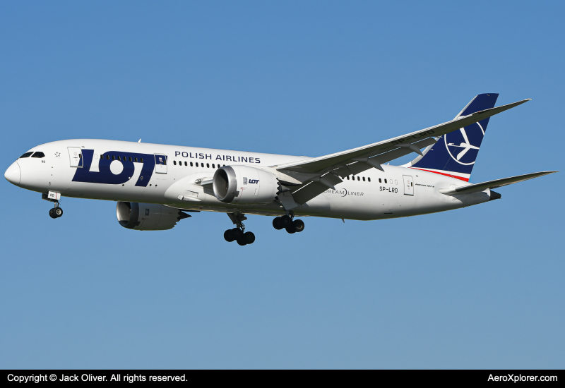 Photo of SP-LRD - LOT Polish Airlines Boeing 787-8 at LAX on AeroXplorer Aviation Database