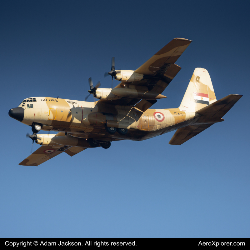 Photo of SU-BAS - Egypt Air Force Lockheed C-130H Hercules at BWI on AeroXplorer Aviation Database