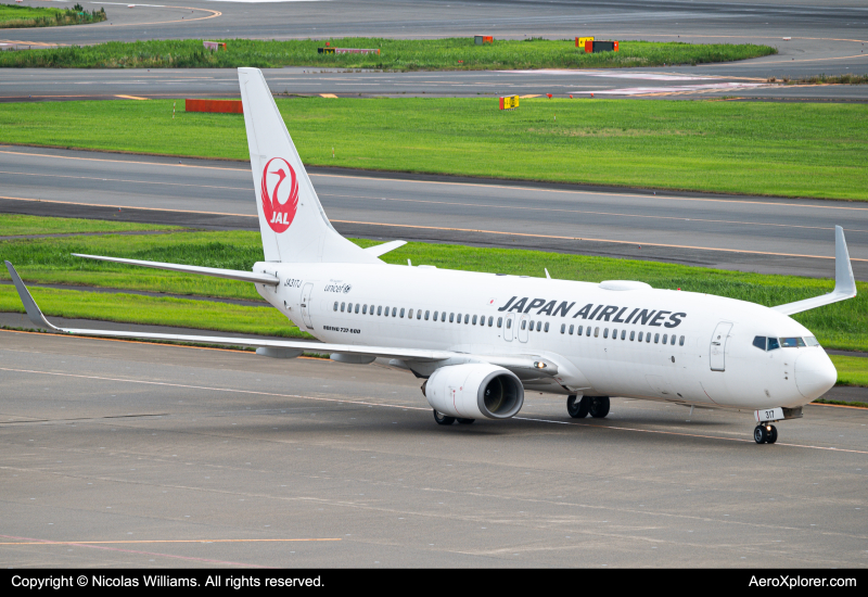 Photo of JA317J - Japan Airlines Boeing 737-800 at HND on AeroXplorer Aviation Database