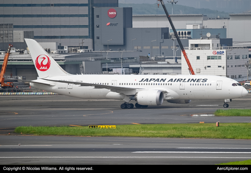 Photo of JA848J - Japan Airlines Boeing 787-9 at HND on AeroXplorer Aviation Database