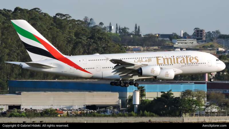 Photo of A6-EUL - Emirates Airbus A380-800 at GRU on AeroXplorer Aviation Database