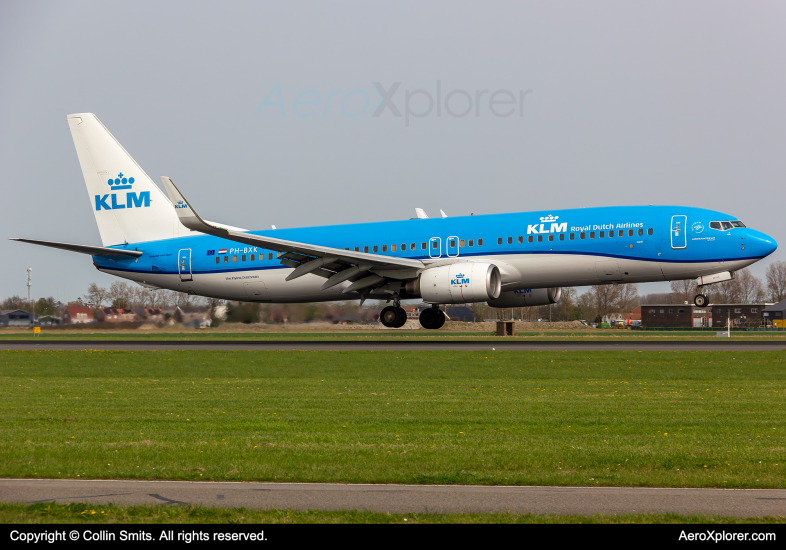 Photo of PH-BXK - KLM Boeing 737-8K2 at AMS on AeroXplorer Aviation Database