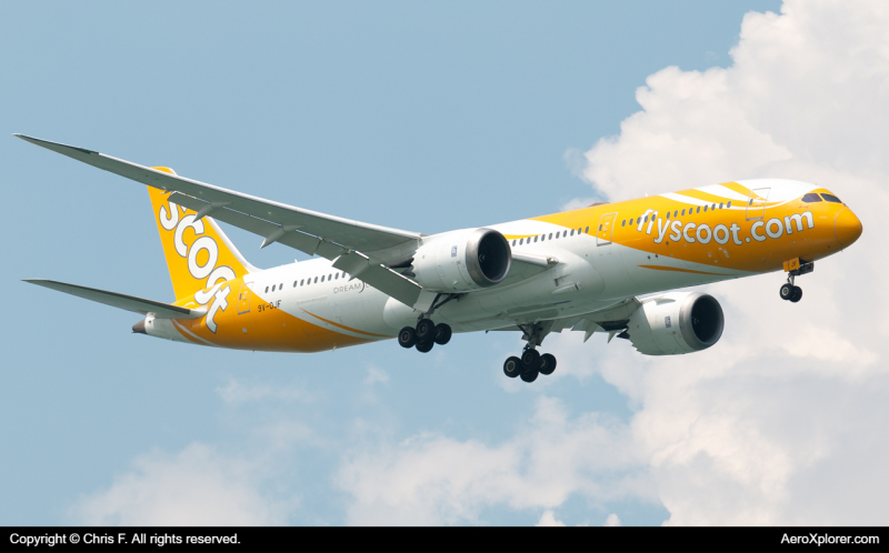 Photo of 9V-OJF - Scoot  Boeing 787-9 at SIN on AeroXplorer Aviation Database