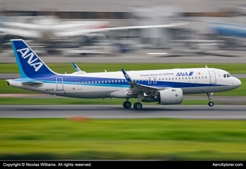 Photo of JA217A - All Nippon Airways Airbus A320neo at HND on AeroXplorer Aviation Database