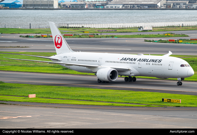 Photo of JA875J - Japan Airlines Boeing 787-9 at HND on AeroXplorer Aviation Database