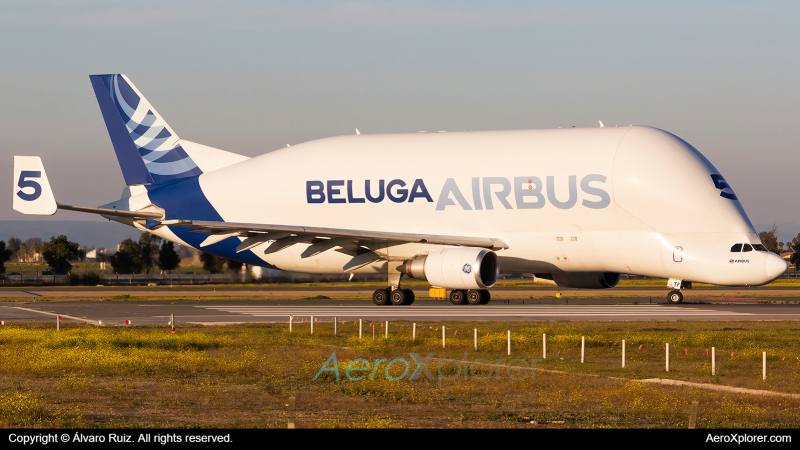 Photo of F-GSTF - Airbus Transport International Airbus A300-600ST Beluga at SVQ on AeroXplorer Aviation Database