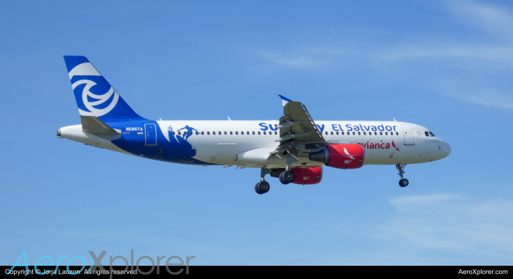 Photo of N686TA - Avianca Airbus A320 at YYZ on AeroXplorer Aviation Database