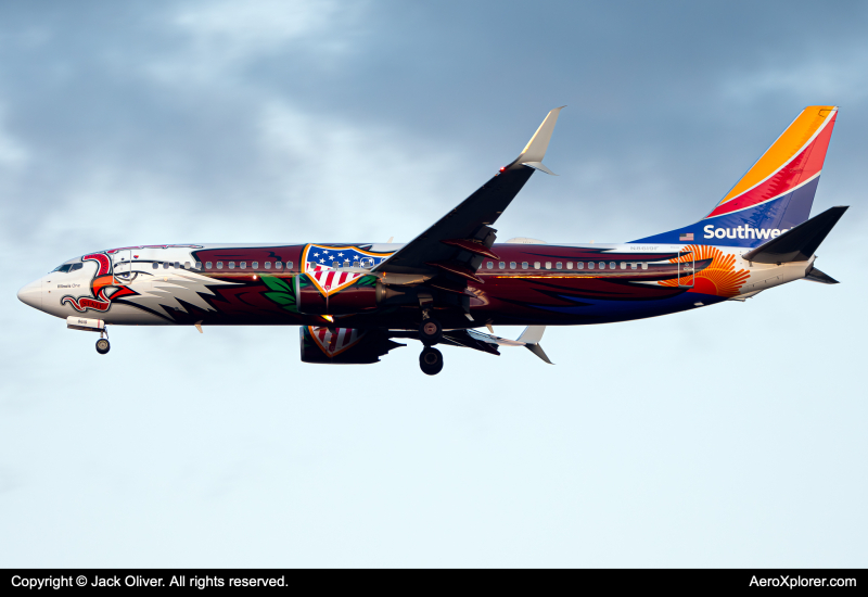 Photo of N8619F - Southwest Airlines Boeing 737-800 at CVG on AeroXplorer Aviation Database