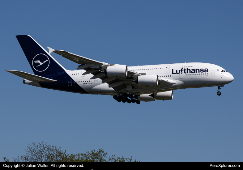 Photo of D-AIMK - Lufthansa Airbus A380-800 at JFK on AeroXplorer Aviation Database