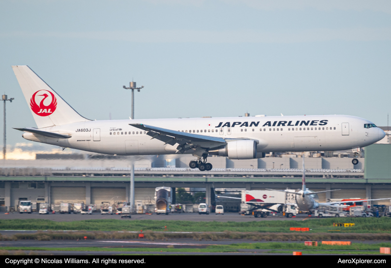 Photo of JA603J - Japan Airlines Boeing 767-300ER at HND on AeroXplorer Aviation Database
