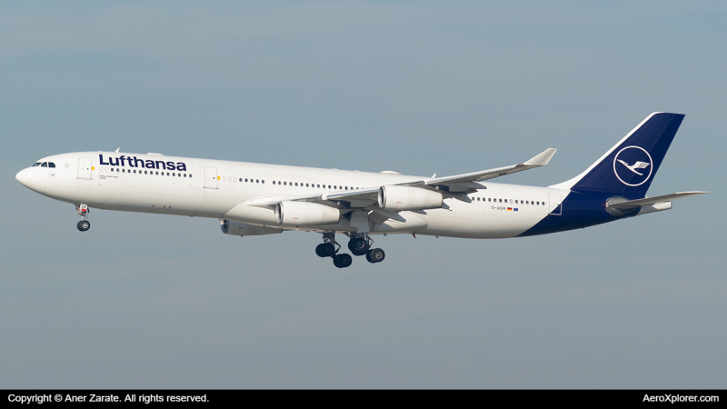 Photo of D-AIGM - Lufthansa Airbus A340-300 at FRA on AeroXplorer Aviation Database