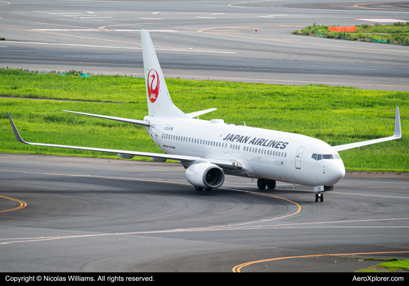 Photo of JA337J - Japan Airlines Boeing 737-800 at HND on AeroXplorer Aviation Database