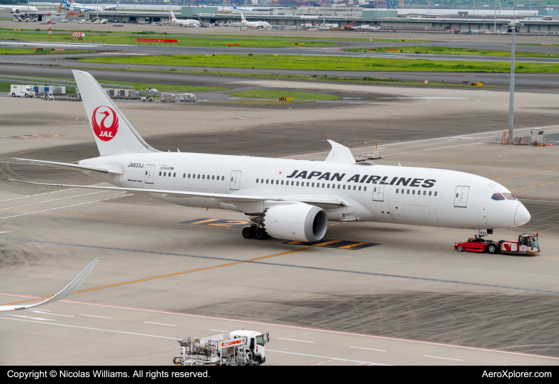 Photo of JA833J - Japan Airlines Boeing 787-8 at HND on AeroXplorer Aviation Database