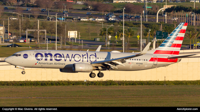 Photo of N919NN - American Airlines Boeing 737-800 at TPA on AeroXplorer Aviation Database