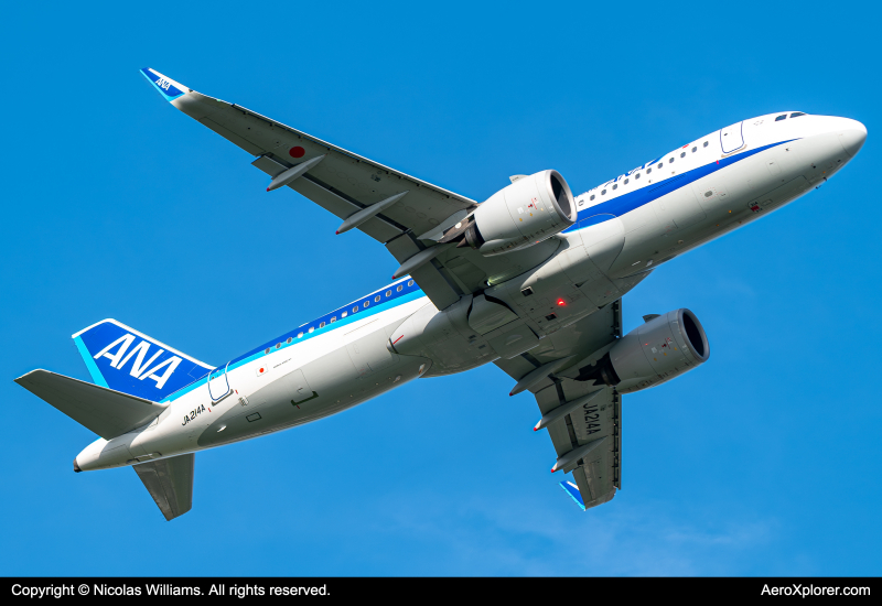 Photo of JA214A - All Nippon Airways Airbus A320NEO at HND on AeroXplorer Aviation Database