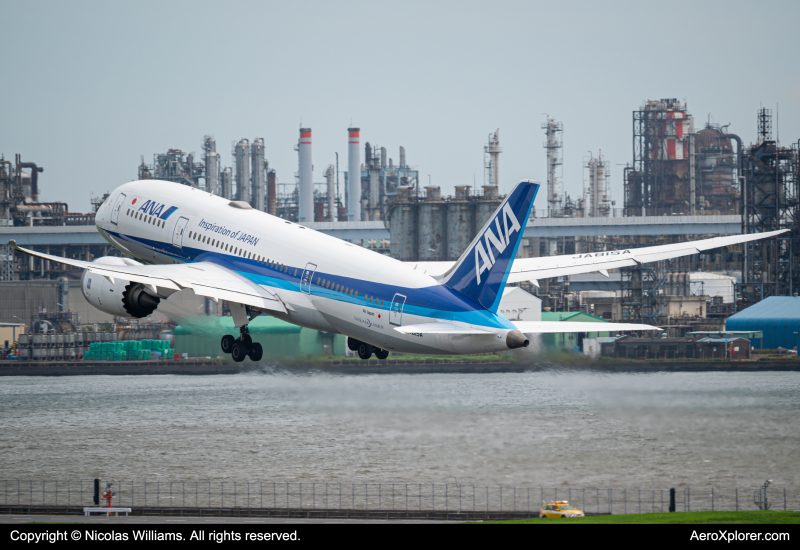 Photo of JA815A - All Nippon Airways Boeing 787-8 at HND on AeroXplorer Aviation Database