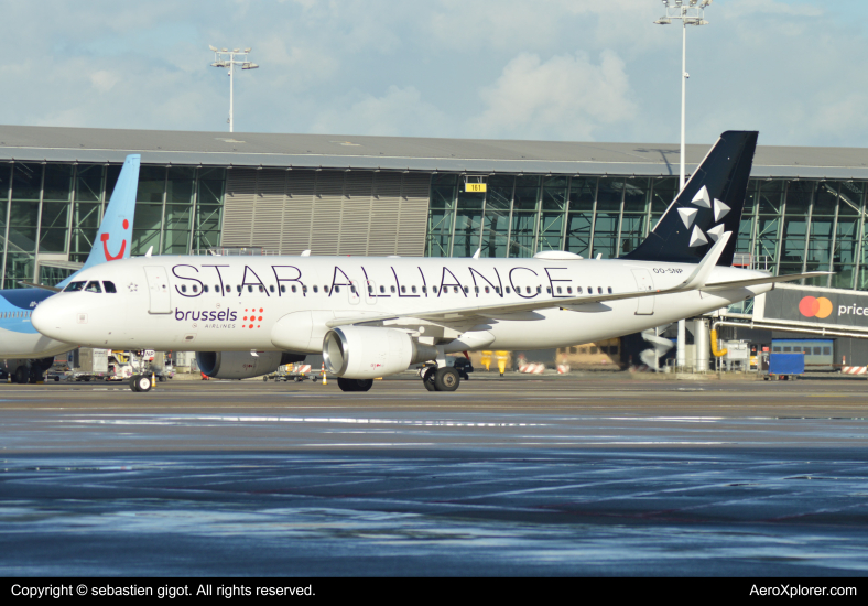 Photo of OO-SNP - Brussels Airlines Airbus A320 at BRU on AeroXplorer Aviation Database