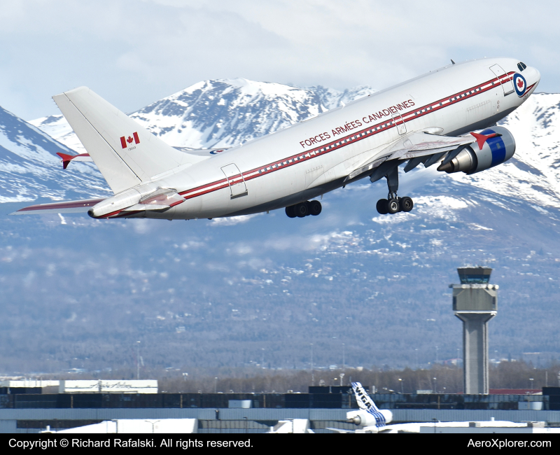 Photo of 15003 - Royal Canadian Air Force Airbus CC-150 Polaris at ANC on AeroXplorer Aviation Database