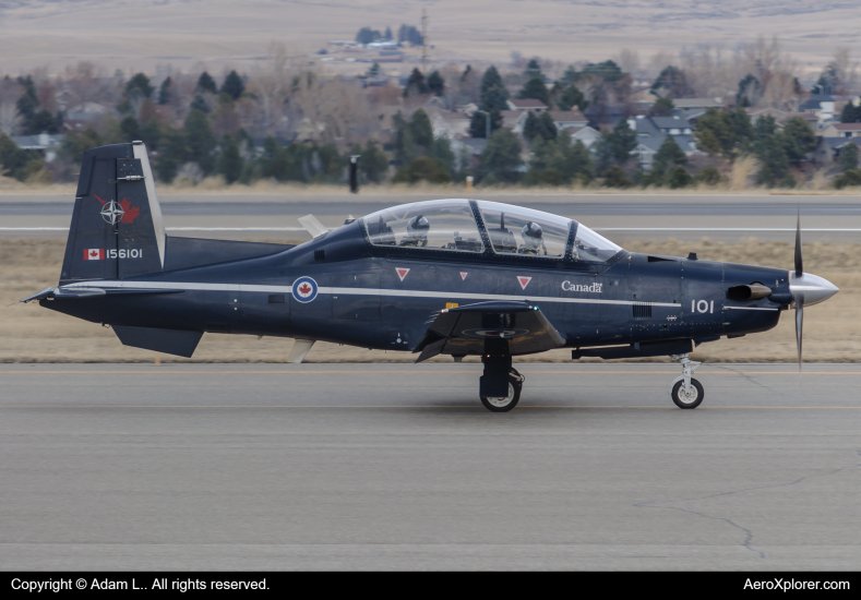 Photo of 156101 - Royal Canadian Air Force Raytheon CT-156 Harvard II at BIL on AeroXplorer Aviation Database