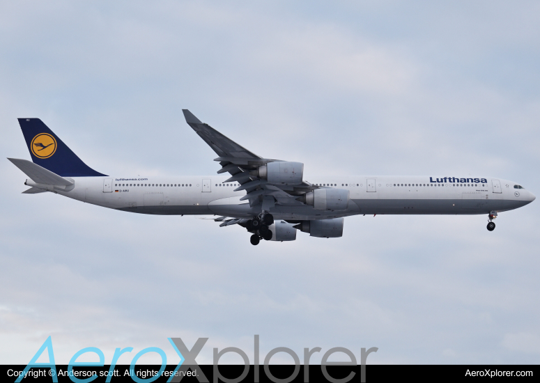 Photo of D-AIHU - Lufthansa Airbus A340-600 at YYZ on AeroXplorer Aviation Database