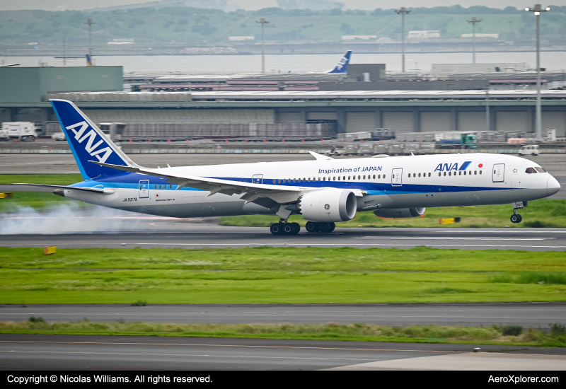 Photo of JA937A - All Nippon Airways Boeing 787-9 at HND on AeroXplorer Aviation Database