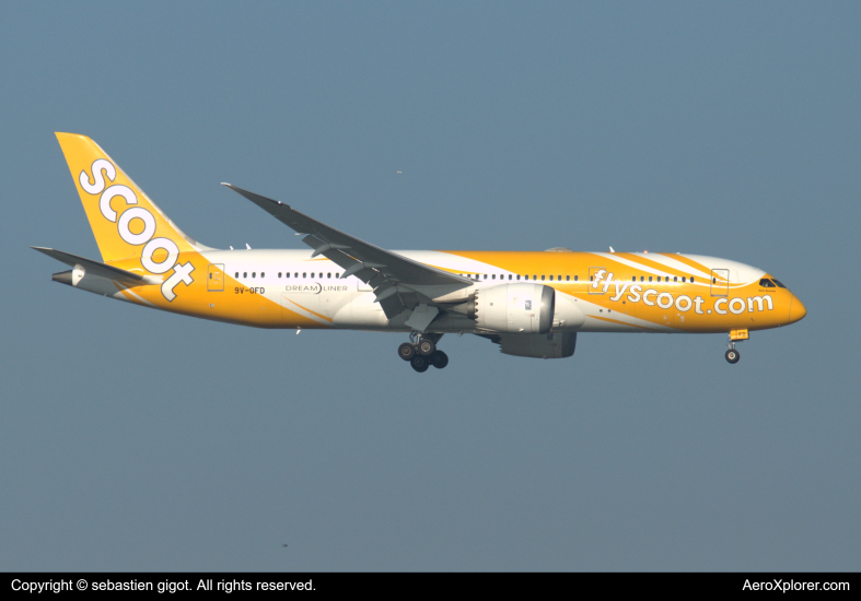 Photo of 9V-OFD - Scoot Boeing 787-8 at BKK on AeroXplorer Aviation Database