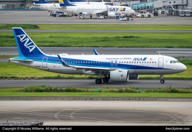 Photo of JA216A - All Nippon Airways Airbus A320 at HND on AeroXplorer Aviation Database