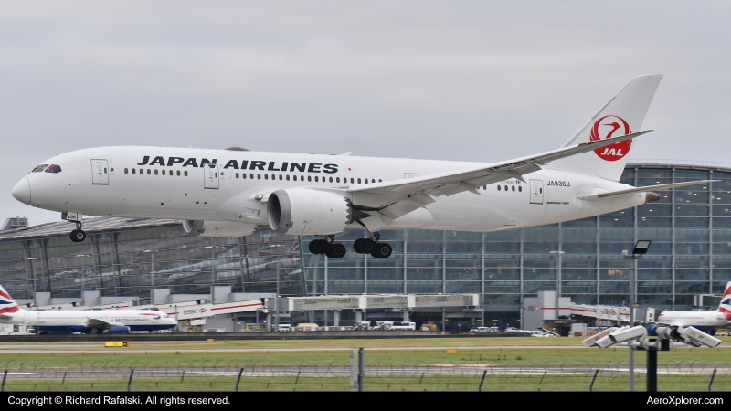Photo of JA836J - Japan Airlines Boeing 787-8 at LHR on AeroXplorer Aviation Database