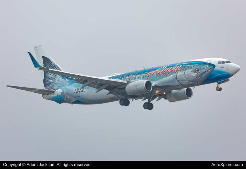 Photo of N559AS - Alaska Airlines Boeing 737-800 at BWI on AeroXplorer Aviation Database