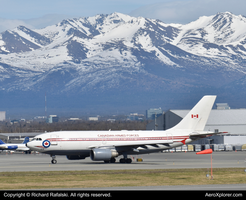Photo of 15003 - Royal Canadian Air Force Airbus CC-150 Polaris at ANC on AeroXplorer Aviation Database