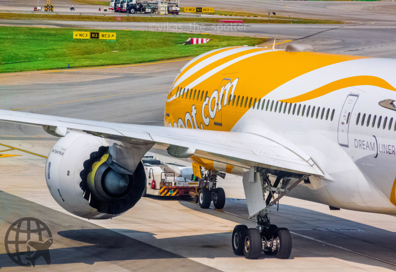 Photo of 9V-OFD - Scoot Boeing 787-8 at SIN on AeroXplorer Aviation Database
