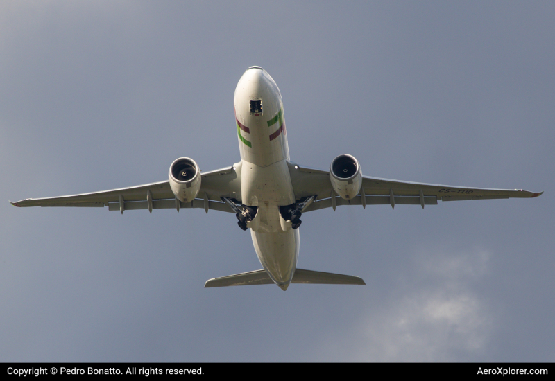 Photo of CS-TUD - TAP Air Portugal Airbus A330-900 at GRU on AeroXplorer Aviation Database