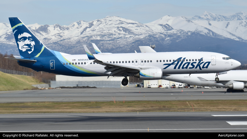 Photo of N565AS - Alaska Airlines Boeing 737-800 at ANC on AeroXplorer Aviation Database