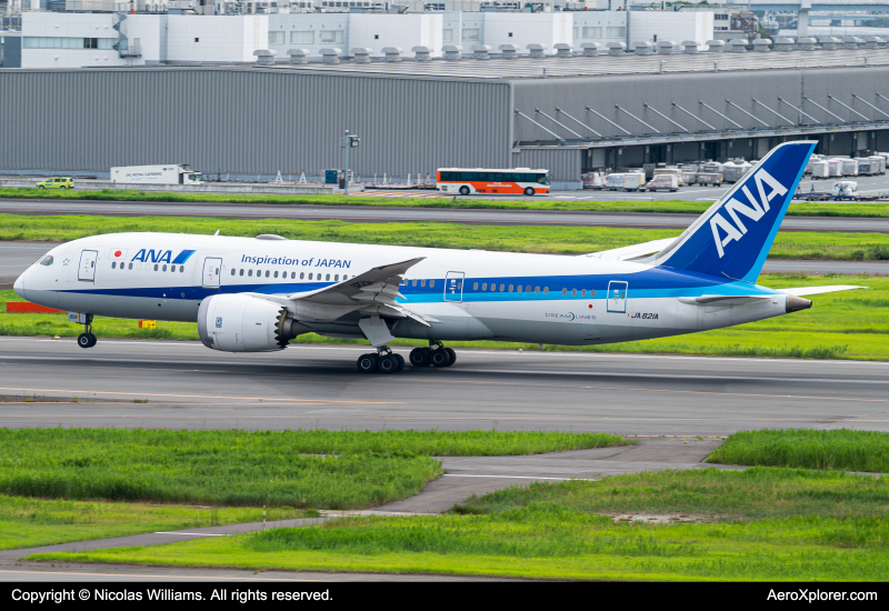 Photo of JA821A - All Nippon Airways Boeing 787-8 at HND on AeroXplorer Aviation Database