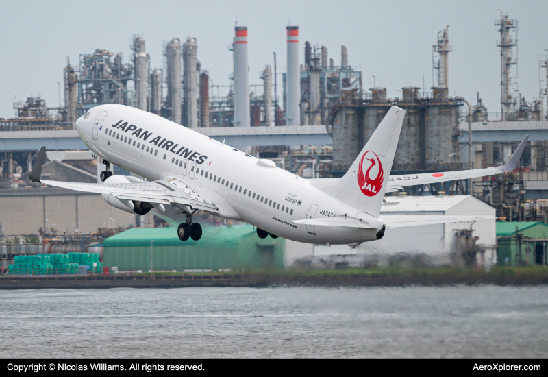 Photo of JA343J - Japan Airlines Boeing 737-800 at HND on AeroXplorer Aviation Database