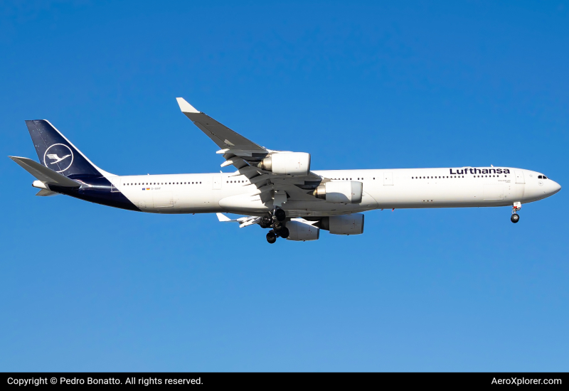 Photo of D-AIHF - Lufthansa Airbus A340-600 at MIA on AeroXplorer Aviation Database