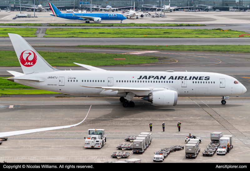 Photo of JA847J - Japan Airlines Boeing 787-8 at HND on AeroXplorer Aviation Database