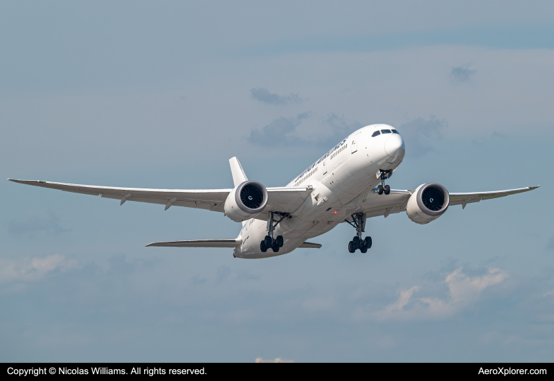 Photo of JA845J - Japan Airlines  Boeing 787-8 at HND on AeroXplorer Aviation Database