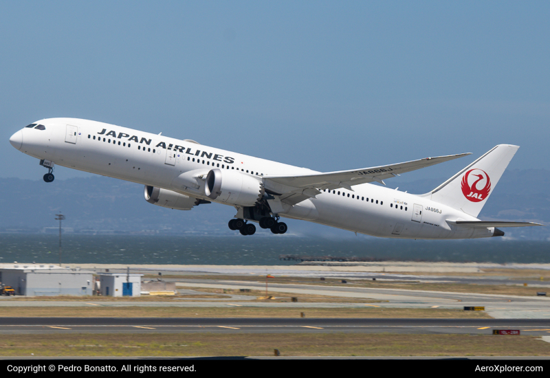 Photo of JA866J - Japan Airlines Boeing 787-9 at SFO on AeroXplorer Aviation Database