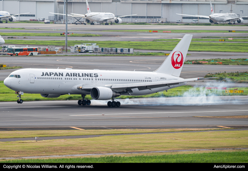 Photo of JA601J - Japan Airlines Boeing 767-300ER at HND on AeroXplorer Aviation Database