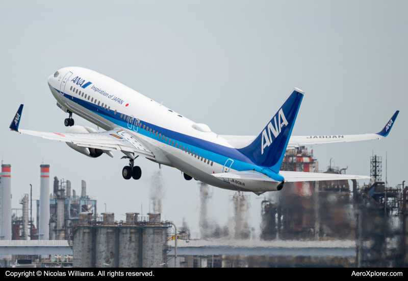 Photo of JA80AN - All Nippon Airways Boeing 737-800 at HND on AeroXplorer Aviation Database