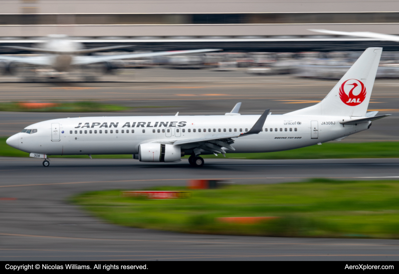 Photo of JA308J - Japan Airlines Boeing 737-800 at HND on AeroXplorer Aviation Database