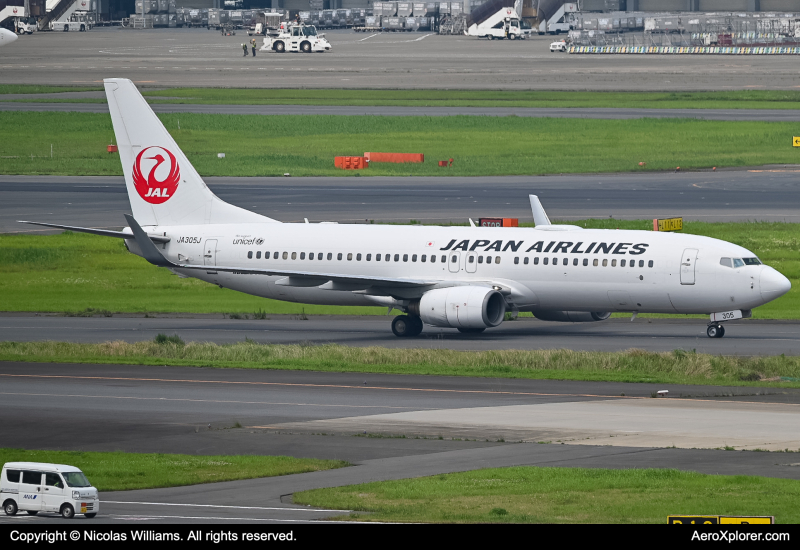 Photo of JA305J - Japan Airlines Boeing 737-800 at HND on AeroXplorer Aviation Database
