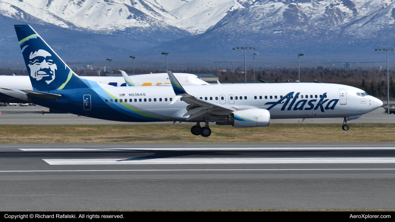Photo of N536AS - Alaska Airlines Boeing 737-800 at ANC on AeroXplorer Aviation Database