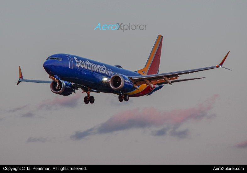 Photo of N8822Q - Southwest Airlines Boeing 737 MAX 8 at BWI on AeroXplorer Aviation Database