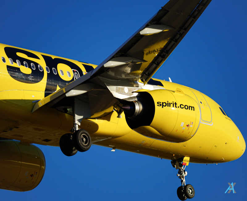 Photo of N934NK - Spirit Airlines Airbus A320NEO at DFW on AeroXplorer Aviation Database