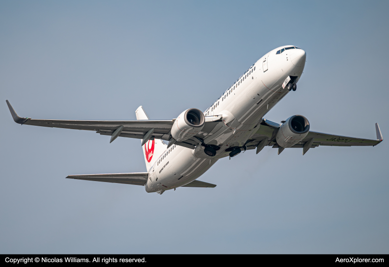 Photo of JA307J - Japan Airlines Boeing 737-800 at HND on AeroXplorer Aviation Database
