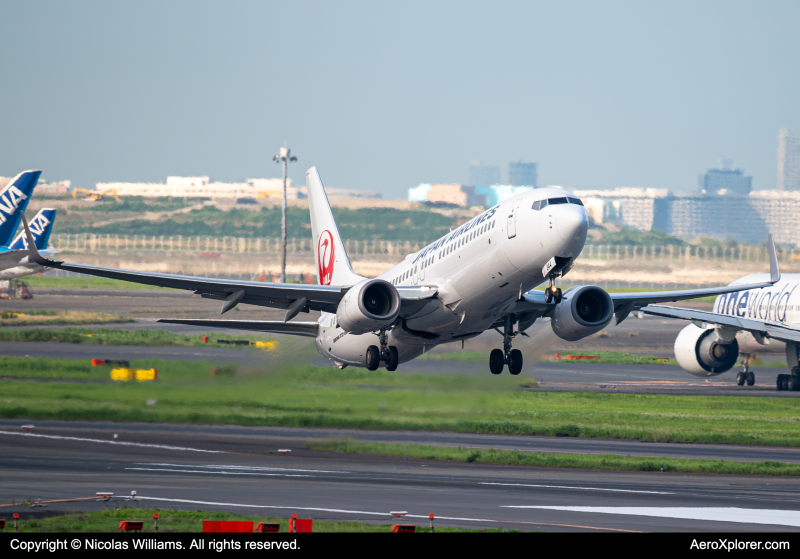 Photo of JA344J - Japan Airlines Boeing 737-800 at HND on AeroXplorer Aviation Database
