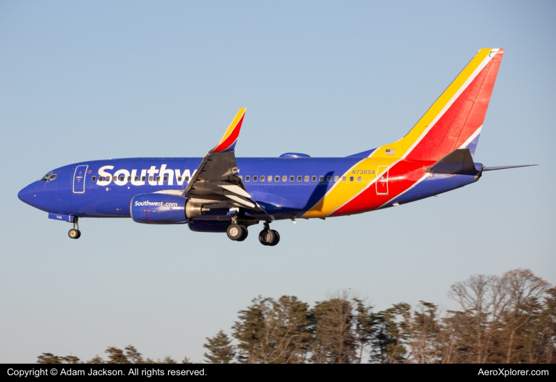 Photo of N736SA - Southwest Airlines Boeing 737-700 at BWI on AeroXplorer Aviation Database