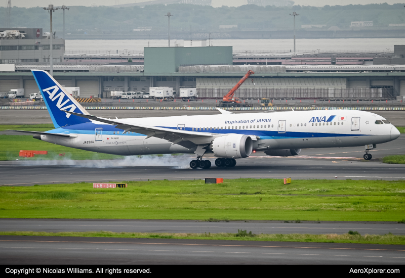 Photo of JA836A - All Nippon Airways Boeing 787-9 at HND on AeroXplorer Aviation Database